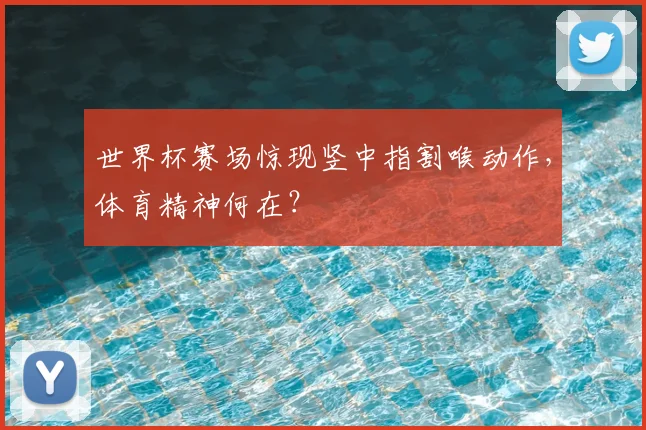 世界杯赛场惊现竖中指割喉动作，体育精神何在？
