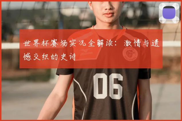 世界杯赛场实况全解读：激情与遗憾交织的史诗