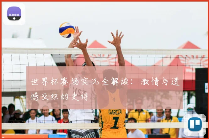 世界杯赛场实况全解读：激情与遗憾交织的史诗