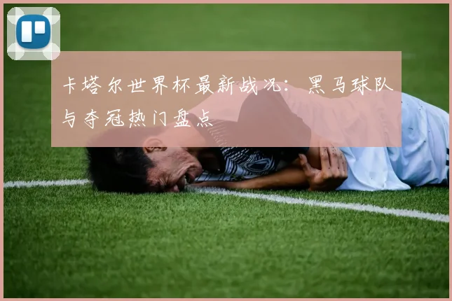 卡塔尔世界杯最新战况：黑马球队与夺冠热门盘点